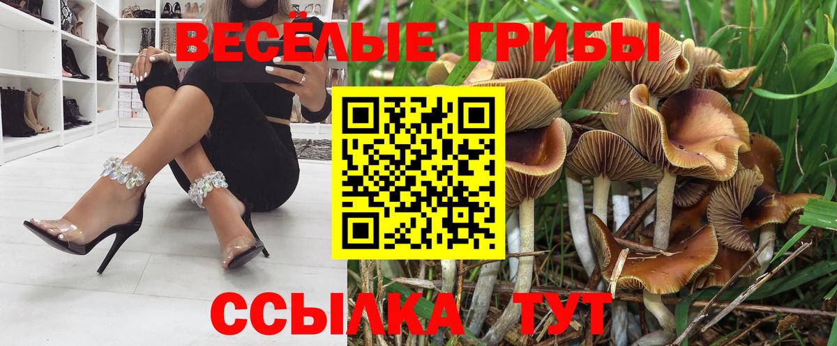 Галлюциногенные грибы Psilocybe Дзержинский